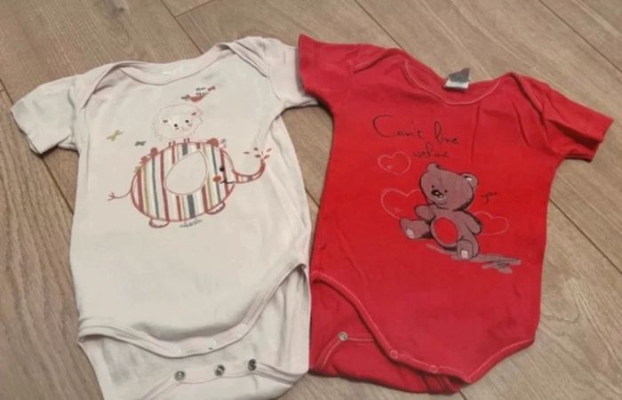 Lot 2 bodies manches courtes