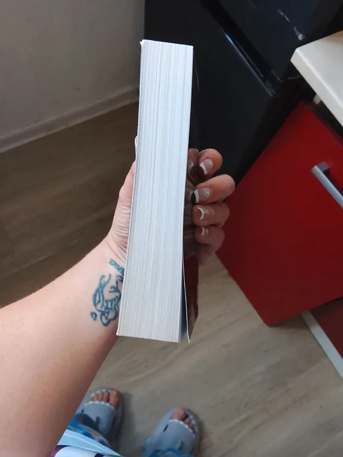 Livre de Sonja delzongle - photo numéro 4