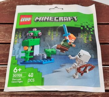 Neuf - LEGO Minecraft 30705 Combat dans la caverne luxuriante