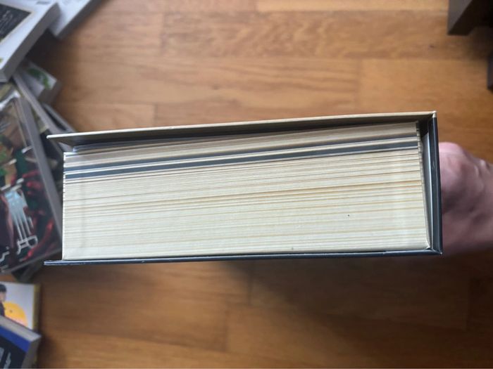 Coffret 6 tomes Berserk collector + tomes 7 et 8 - photo numéro 5