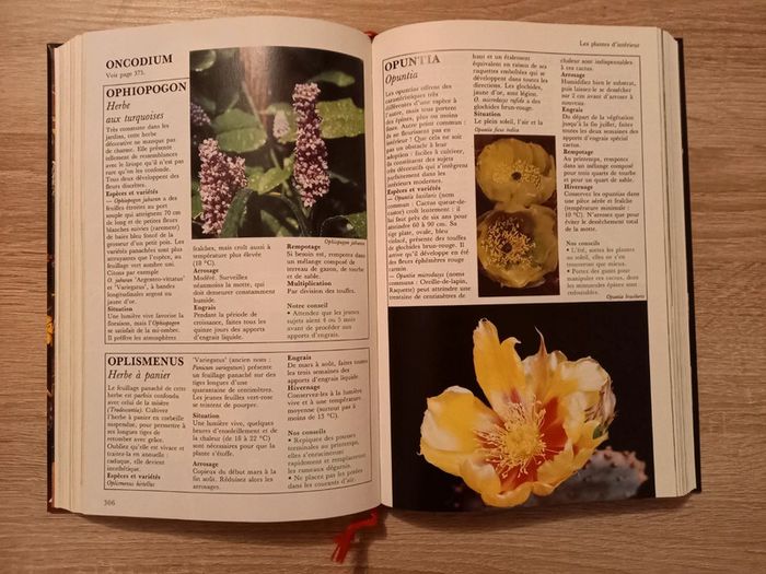 Livre broché "La maison fleurie" - Le guide le plus complet - photo numéro 5