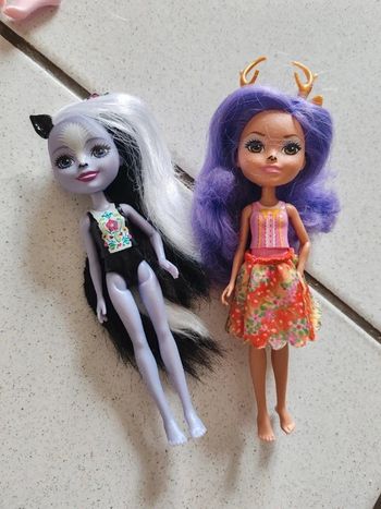 Lot de 2 poupées enchantimals