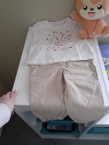 Ensemble 1 an in extenso