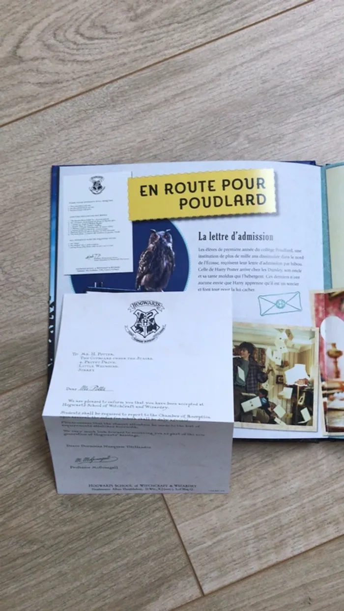 Carnet magique poudlard Harry potter - photo numéro 4