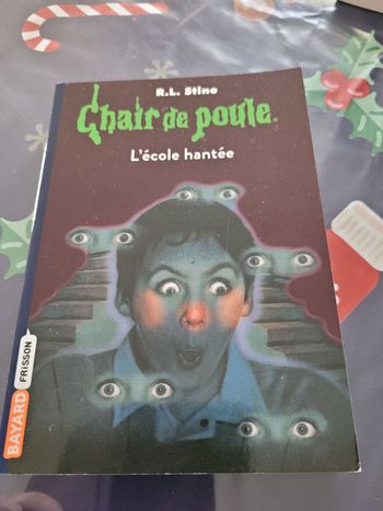 livre chair de poule (3e)