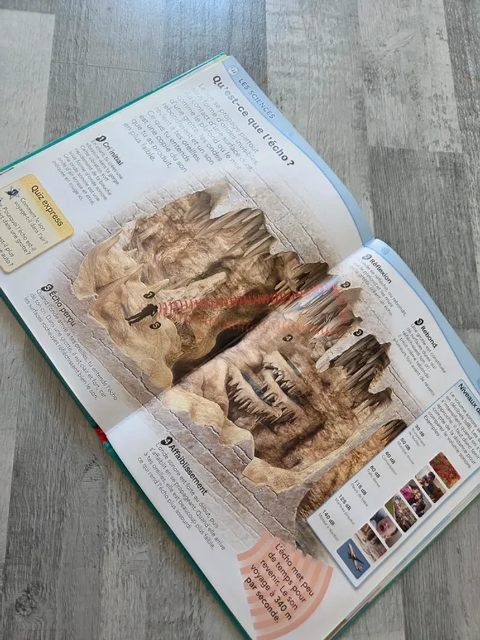 Livre questions réponses l'encyclopédie - photo numéro 6