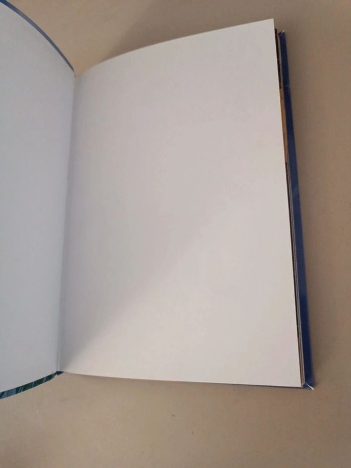 Bernard et Bianca de Disney - photo numéro 14