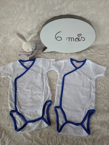 Lot de 2 bodies croisés manches courtes Mixte 6 mois souris Dpam 100% coton