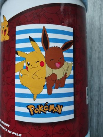 Pokémon : Plaid Pikachu et Evoli 100x140cm