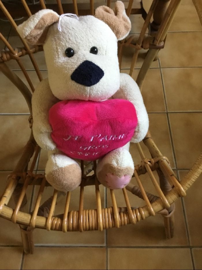 peluche - photo numéro 6