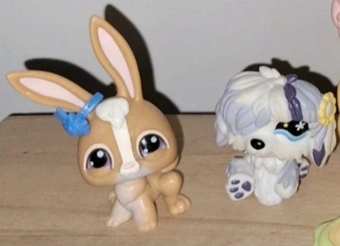Salon de coiffure beauté littlest pet shop - photo numéro 4