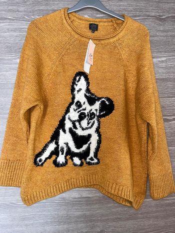 Pull little miss Captain Tortue xs neuf étiquette chien  moutarde motif chien 🐶