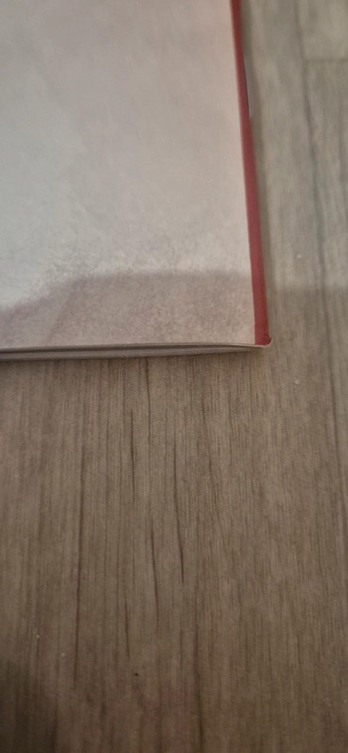 Livre - L'enfance du Père Noël - photo numéro 7