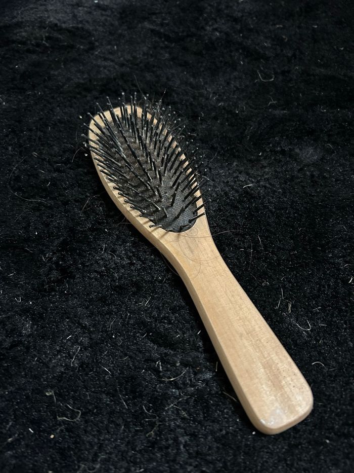 Brosse à cheveux