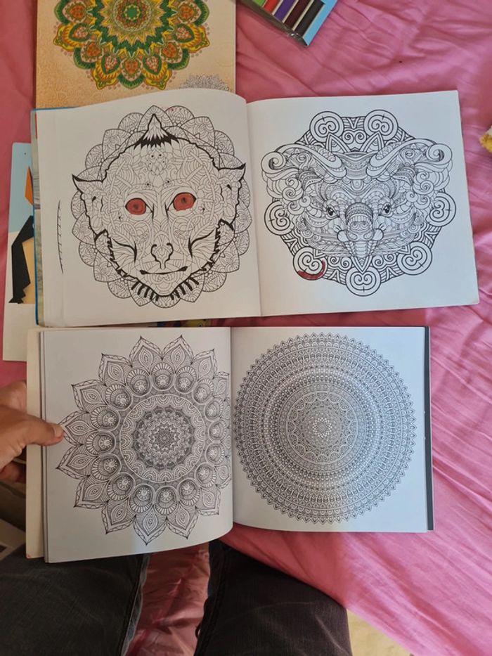Lot loisirs créatifs mandala et origami - photo numéro 3