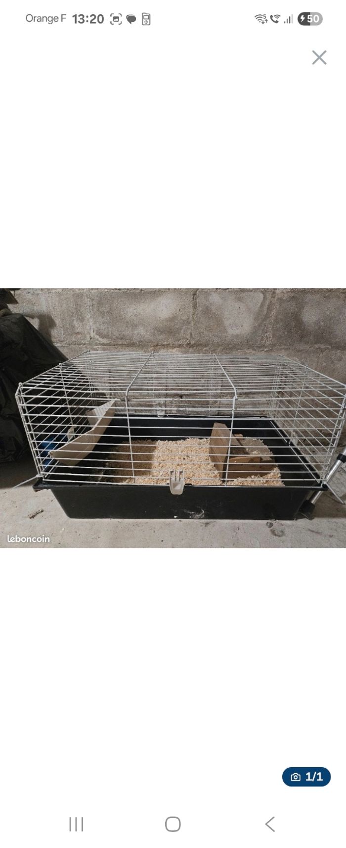 Cage animal