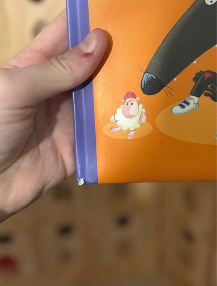 Livre P’tit loup a un bobo - photo numéro 3