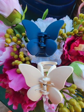 Pinces papillons 🦋 lot de 2 pinces