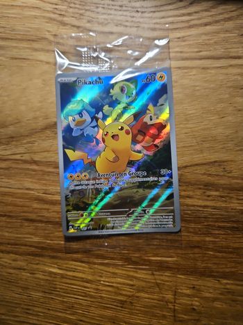 Carte Pokemon Pikachu 027