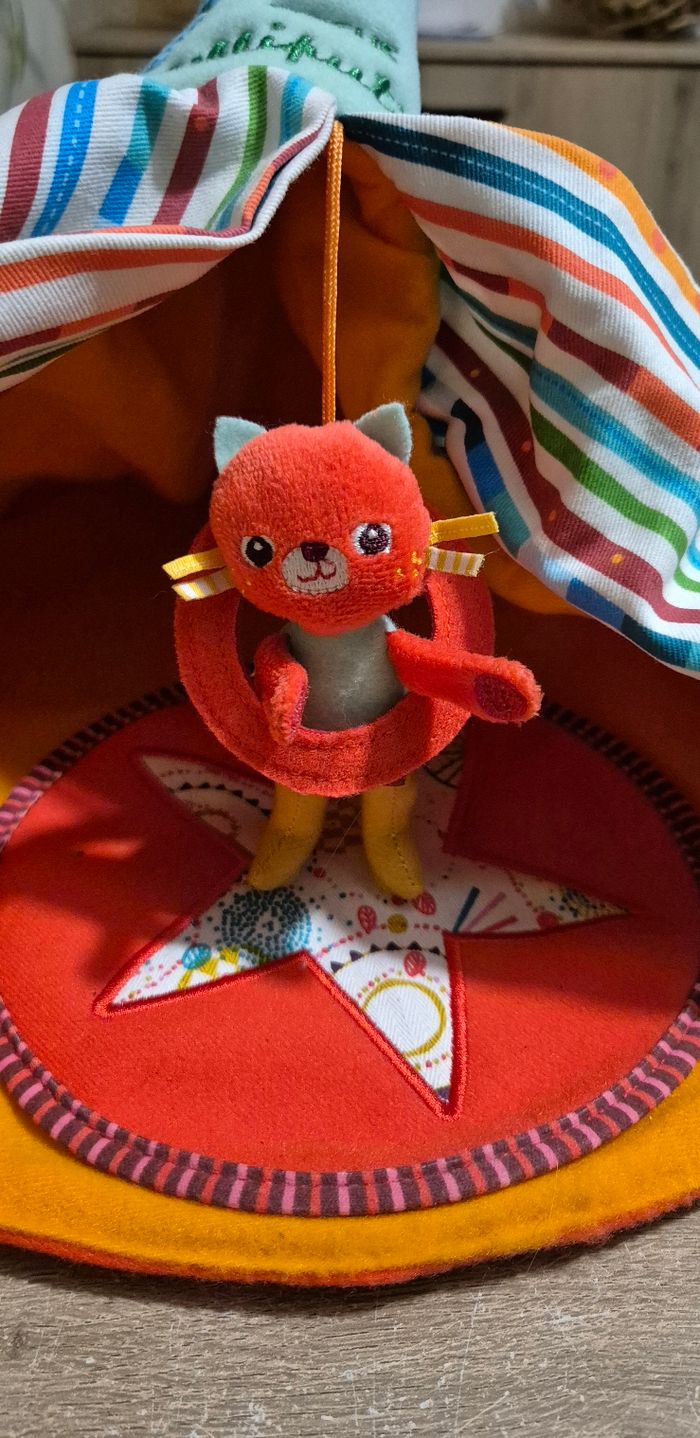 Le cirque et ses acrobates Lilliputiens - photo numéro 3