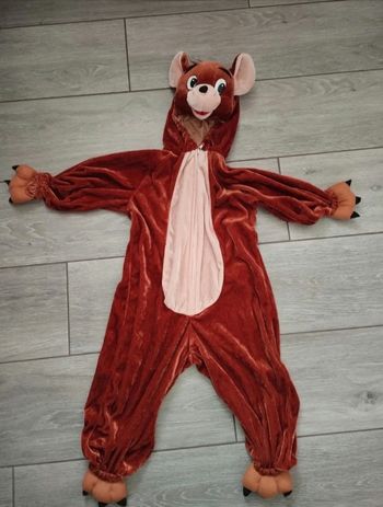 Déguisement souris jerey