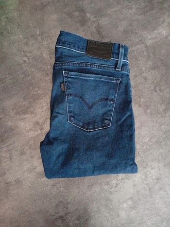 Jean Levi's