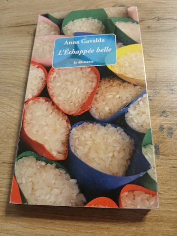 LIVRE L ECHAPPEE BELLE DE ANNA GAVALDA