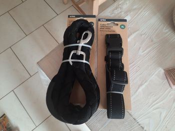 Laisse  colliers 