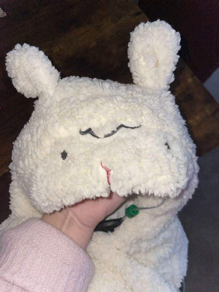 Combipilote - photo numéro 2