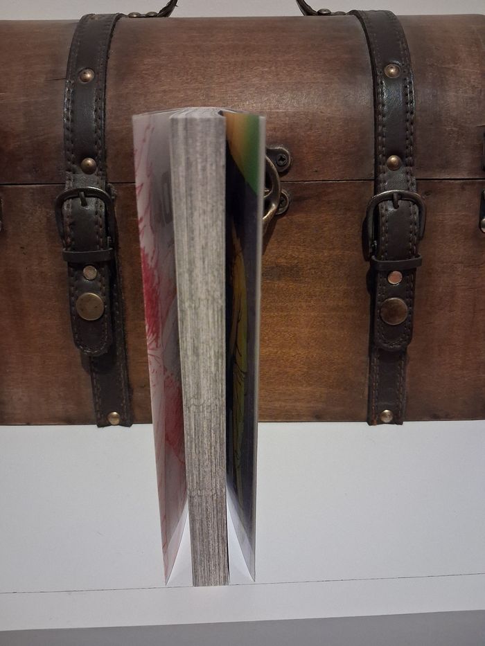 Manga Dandadan tome 18 jaquette alternative collector édition limitée - photo numéro 4