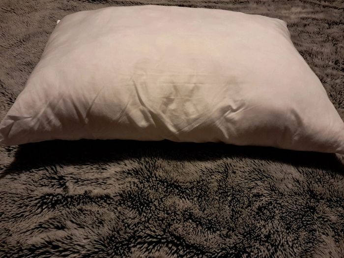 Oreiller 50x70 - photo numéro 3