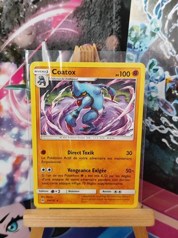 Coatox rare 64/131 lumiere interdite