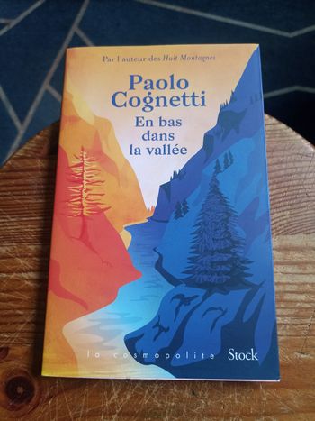 Livre - En bas dans la vallée 