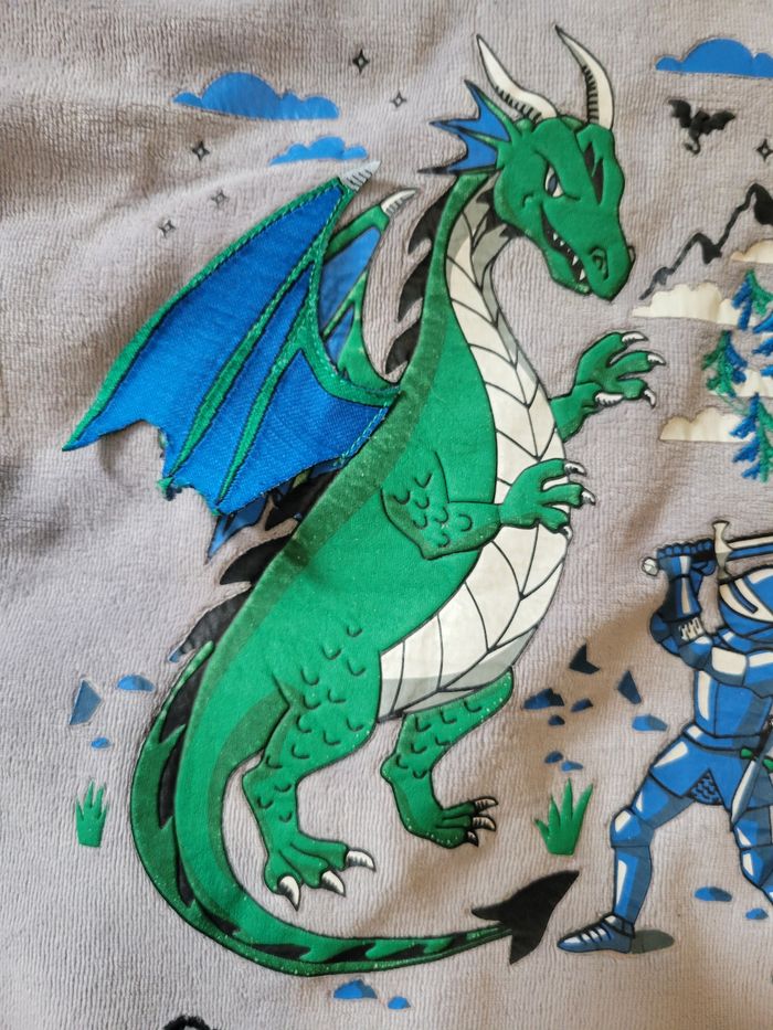 Pyjama dragon 10 ans - photo numéro 4