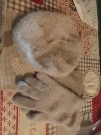 Ensemble bonnet gants femme