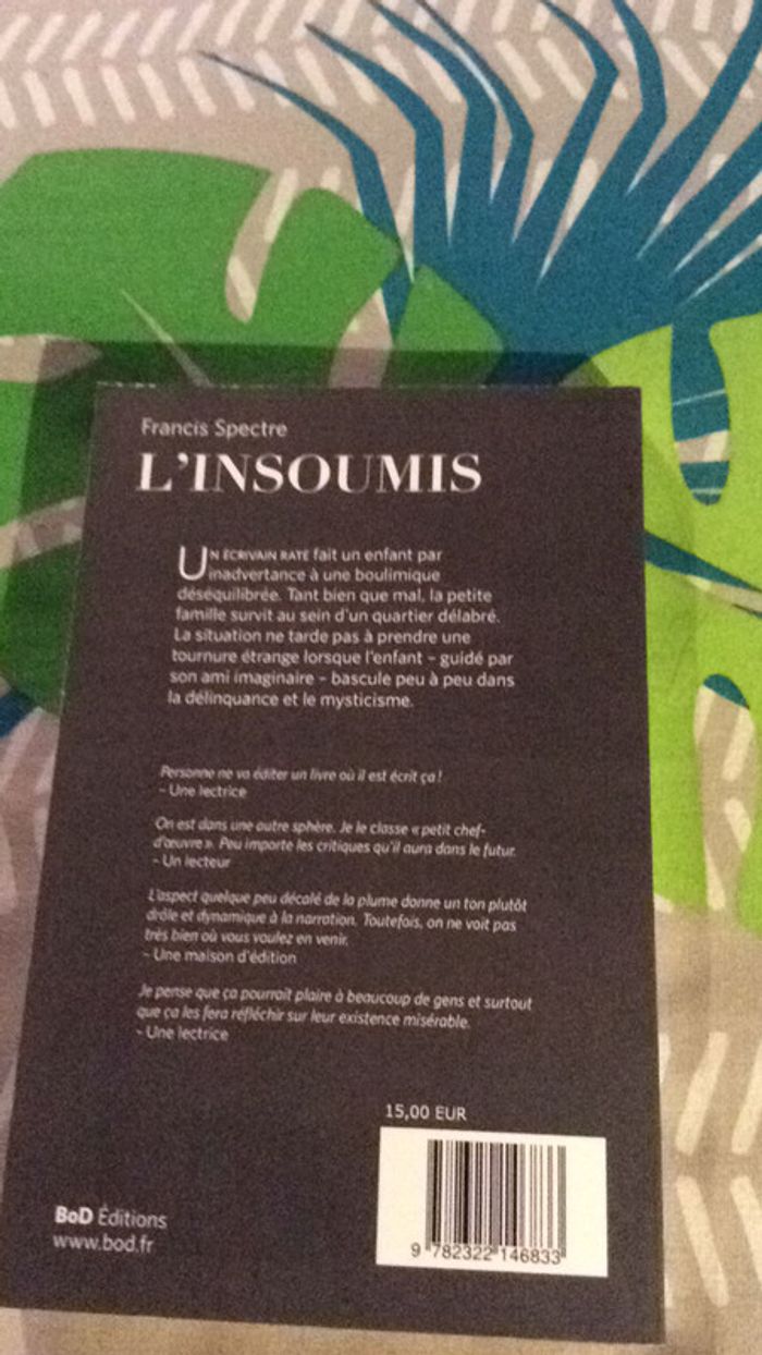 #l’insoumis par Francis Spectre - photo numéro 4