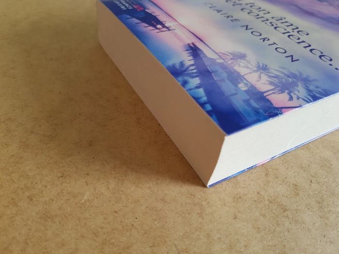 En ton âme et conscience de Claire Norton - photo numéro 4