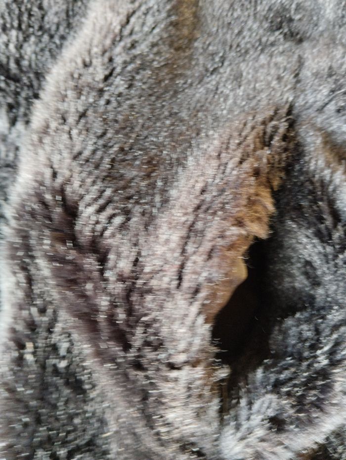 manteau fausse fourrure femme M Zara - photo numéro 2
