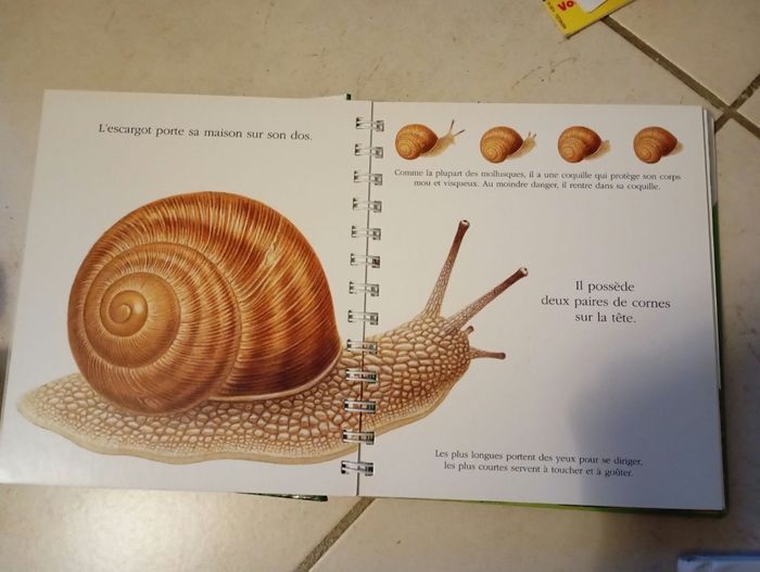 Lot livres mes premières découvertes Gallimard jeunesse la forêt l'escargot le dauphin - photo numéro 2