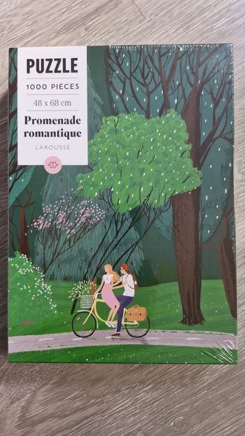Puzzle 1000 pièces, promenade romantique Larousse 