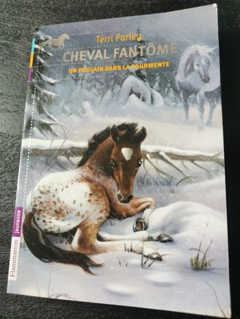 Livre Cheval Fantôme