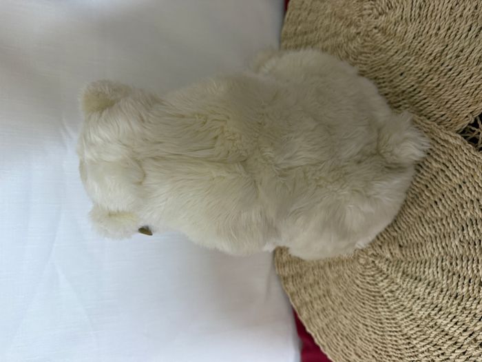 Peluche Ours polaire Wwf 1986 - photo numéro 5