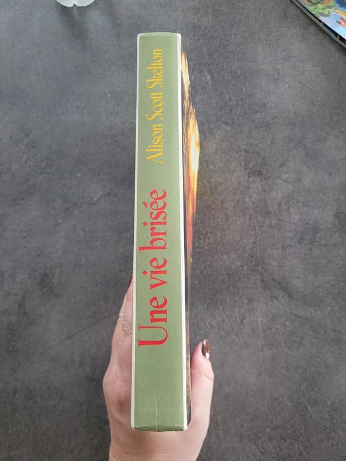 Livre 📖 une vie brisée - photo numéro 2