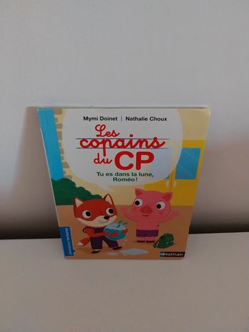 Livre les copains du cp