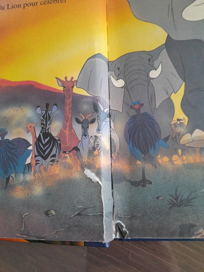 Livre le roi lion - photo numéro 2