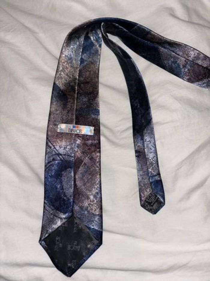 Cravate Brice - photo numéro 2