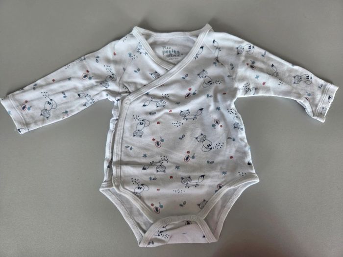 Lot 3 Bodies renard 6m mixte - photo numéro 4