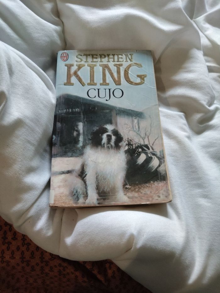 Cujo livre Stephen king - photo numéro 2