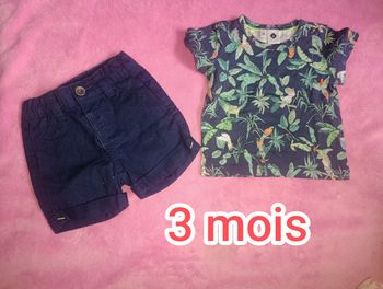 Ensemble grain de blé