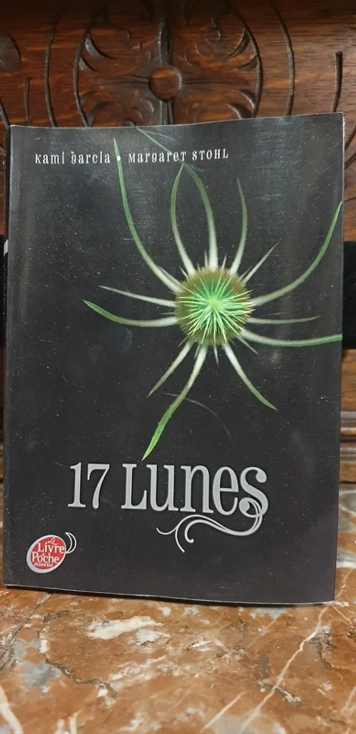📚 17 lunes - tome 2 📚 - photo numéro 4